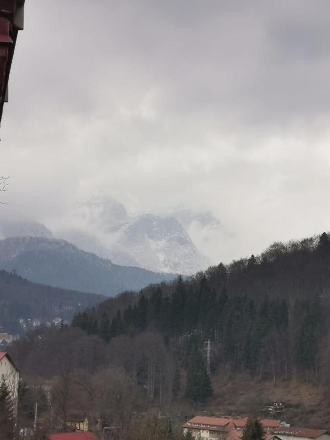 Apartament Panoramic View Sinaia Appartement Buitenkant foto