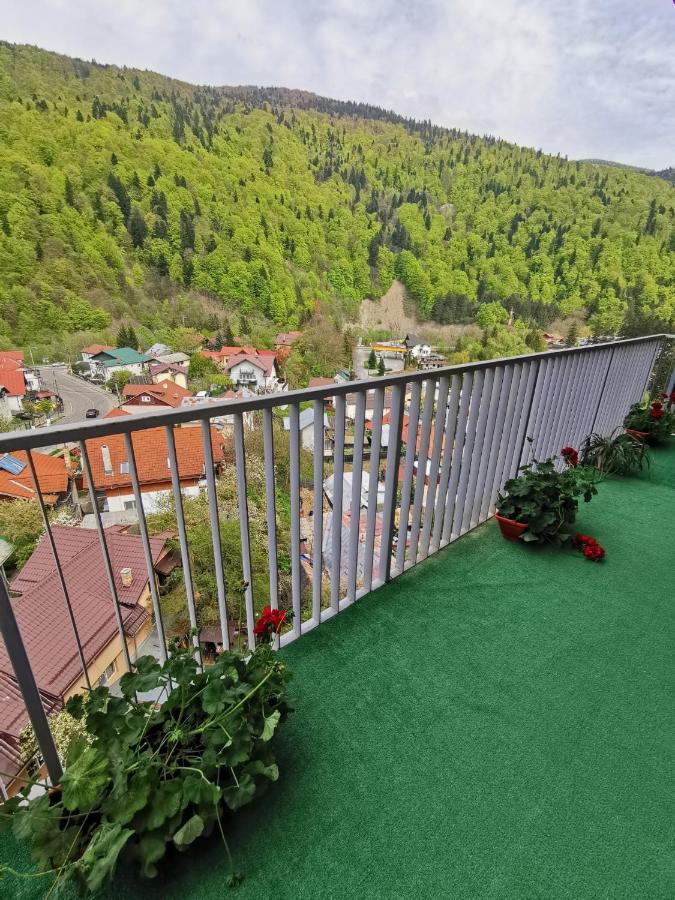 Apartament Panoramic View Sinaia Appartement Buitenkant foto