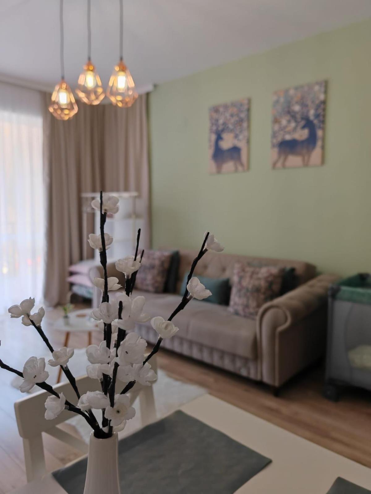 Apartament Panoramic View Sinaia Appartement Buitenkant foto